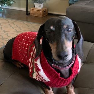 Meet your Posher, Grace